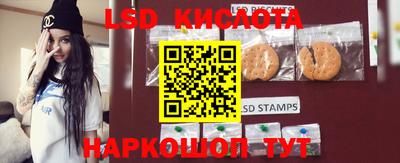 mdpv Славгород
