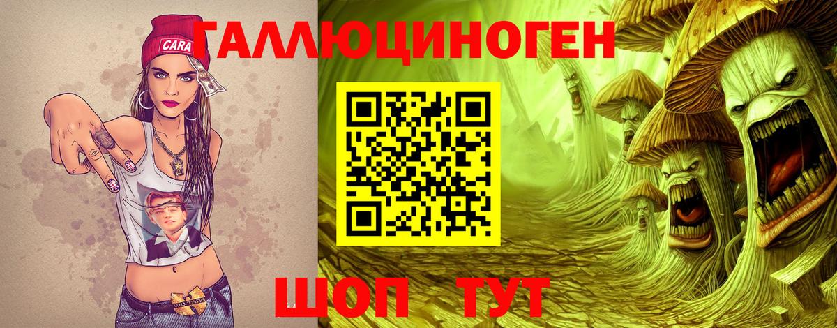 Галлюциногенные грибы Psilocybine cubensis  Вход с VPN  Нововоронеж 